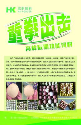 12%超浓缩,产蛋鸡功能饲料