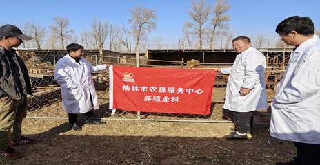 榆林市农业农村局_ 榆林市农垦服务中心全力做好垦区养殖业服务工作