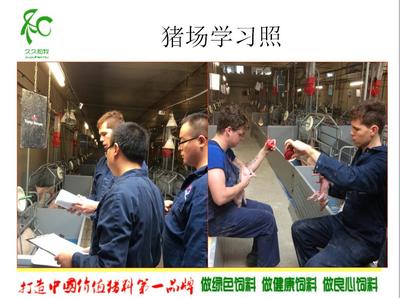 党广辉:欧洲现代化高效养猪技术-荷兰猪场考察学习分享