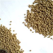 LZ70-II-武汉观赏鱼饲料设备 宠物饲料机械多少钱