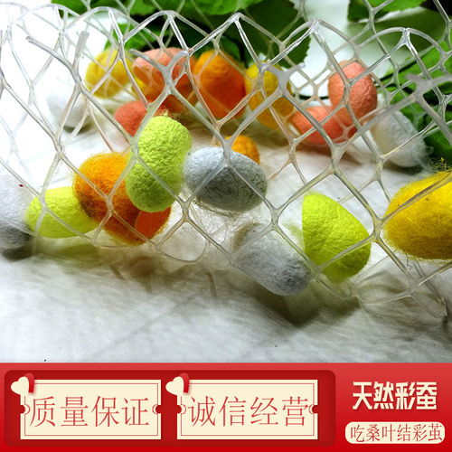 自然科学的奇妙旅程 蚕宝宝的成长与彩色蚕丝的奥秘