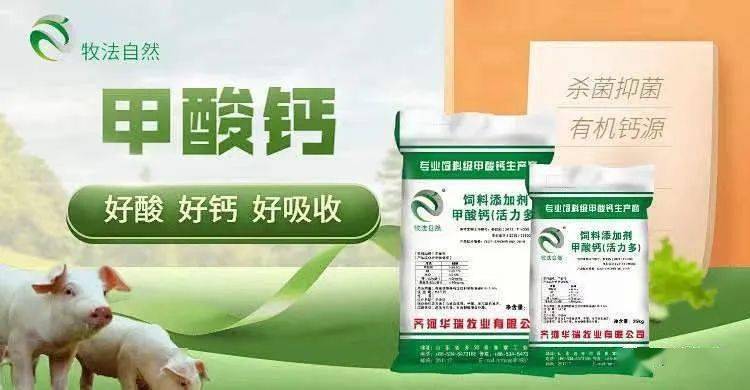 饲用酸化剂在保育猪饲料中的应用 提升利用率与降低料重比