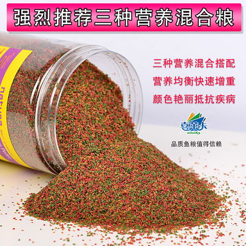 小型热带鱼饲料的选择与喂养指南