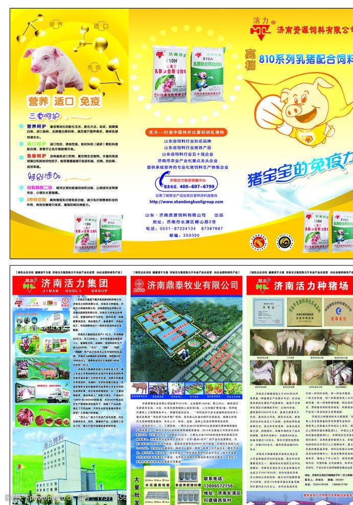 饲料科普折页设计指南与视觉素材应用