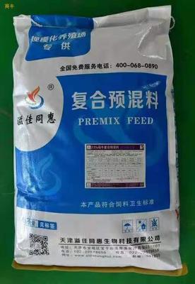 科学饲喂助繁殖 母牛高效发情与营养管理策略